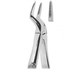 Extracting Forceps English pattern